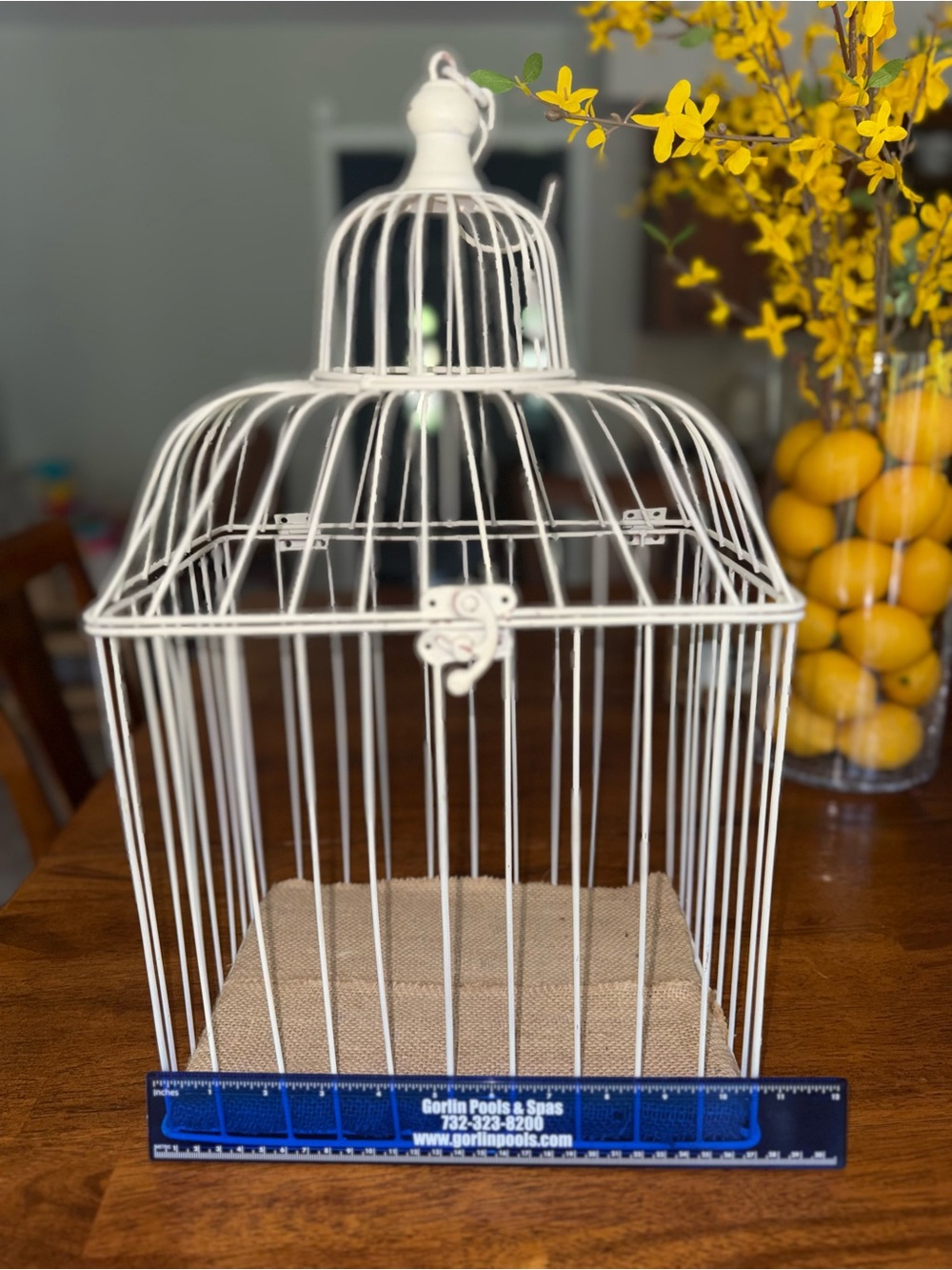 Vintage French Style Large off White Birdcage Decor Plant Holder Wedding